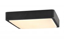 AINOS, applique et plafonnier extérieur, carré, anthracite, LED, 17W, 3000K/4000K, IP65 (1003450)