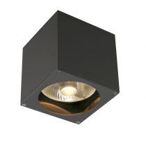 BIG THEO, applique extérieure, anthracite, GU10/QPAR111, 75W max, IP44 (229565)