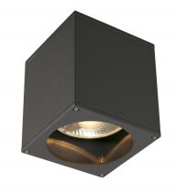 BIG THEO, plafonnier extérieur, anthracite, GU10/QPAR111, 75W max, IP44 (229555)