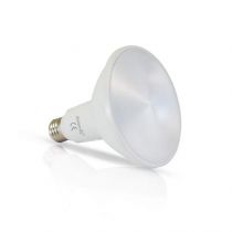 led par38 15 watt e27 6000k depoli boite (8113)