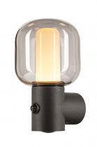 OVALISK, applique extérieure, anthracite, LED, 9,6W, 3000/4000K, détecteur de mouvement, interrupteur CCT, IP65 (1004679)