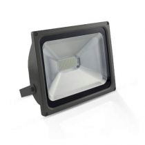 project led vision-el 230 v   50 w 3000k plat gris ip65 (80081)